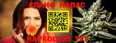 дживик Сланцы