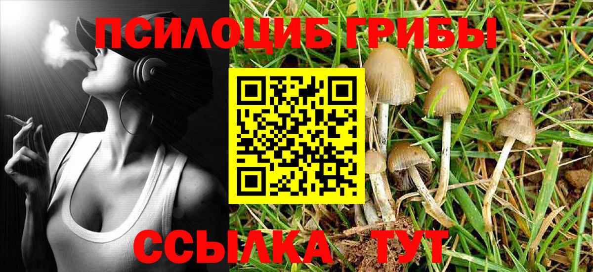 Обнинск  Псилоцибиновые грибы Cubensis  цена   Вход с VPN 